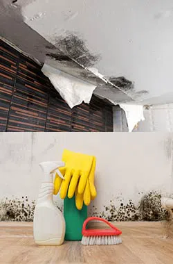 Plantation Restoration Company Plantation, FL 954-621-2753